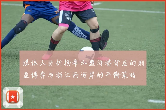 媒体人分析杨希加盟海港背后的利益博弈与浙江西海岸的平衡策略