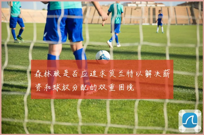 森林狼是否应追求莫兰特以解决薪资和球权分配的双重困境