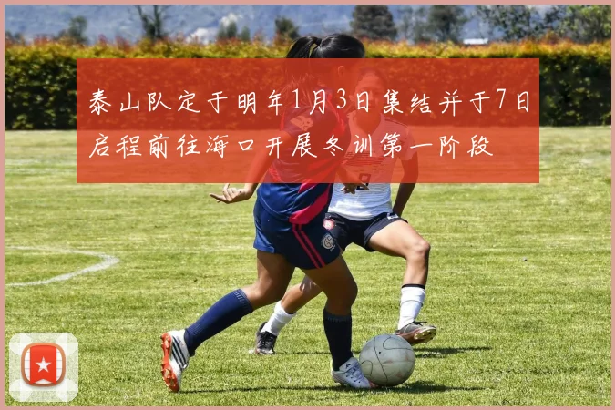 泰山队定于明年1月3日集结并于7日启程前往海口开展冬训第一阶段