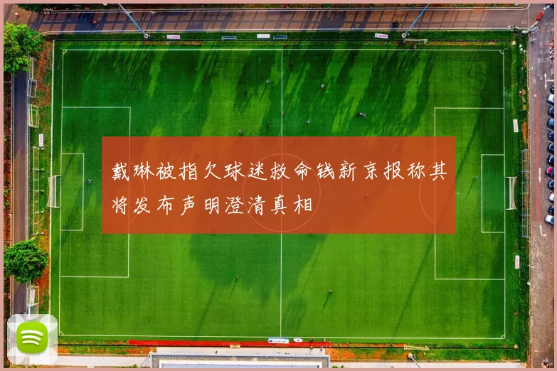 戴琳被指欠球迷救命钱新京报称其将发布声明澄清真相