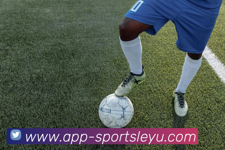 乐鱼体育品牌故事